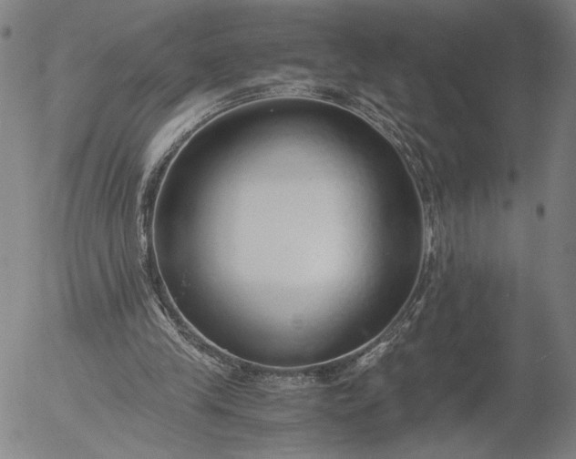 X0000056000245200509021711