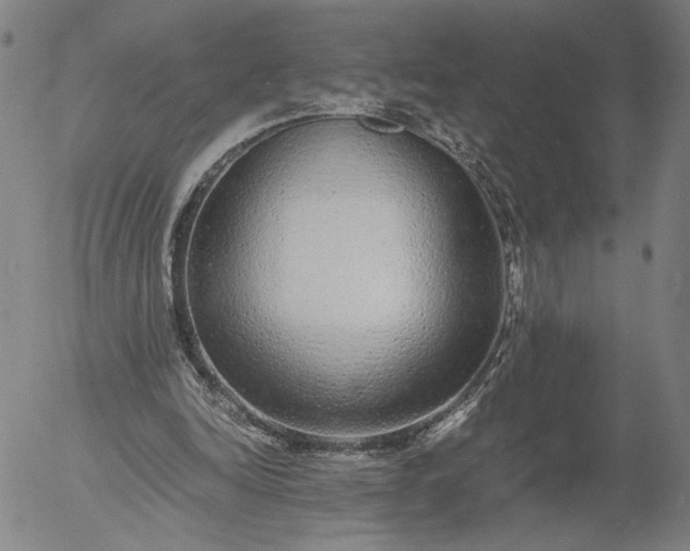 X0000056000246200509021711