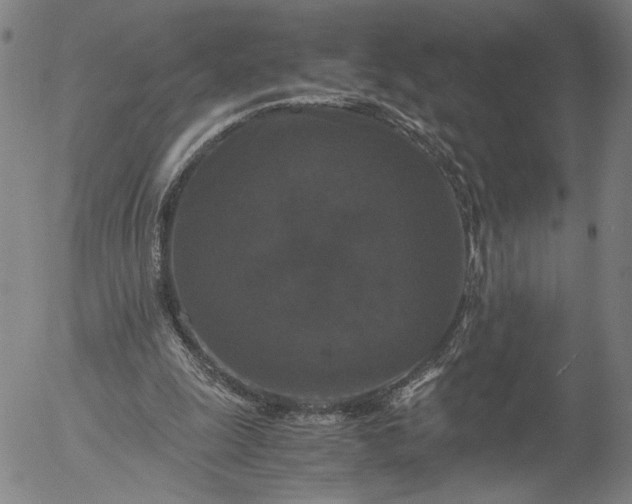 X0000056000247200509021711