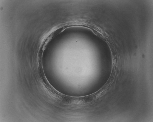 X0000056000248200509021711