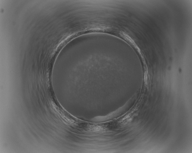 X0000056000249200509021711