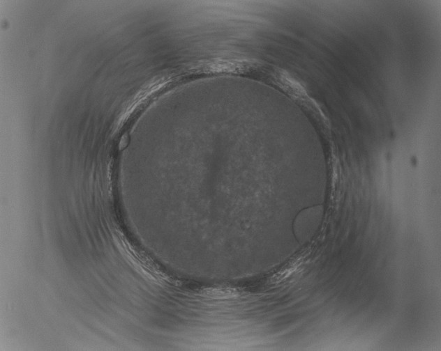 X0000056000250200509021711