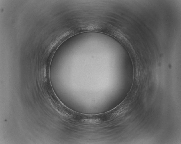 X0000056000251200509021711