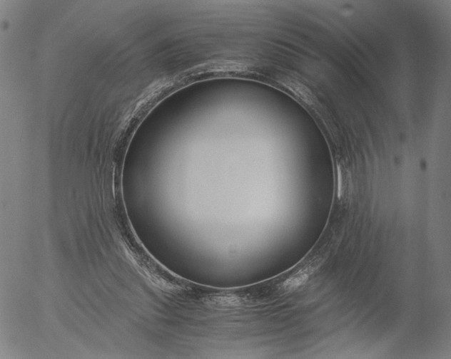 X0000056000253200509021711