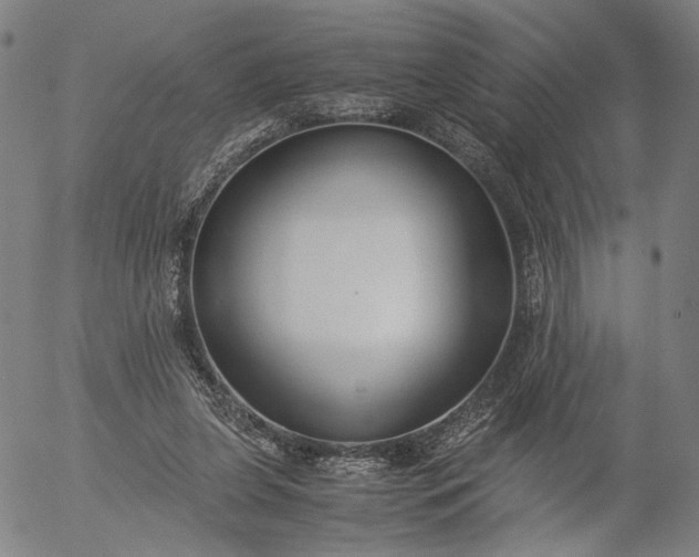 X0000056000255200509021711