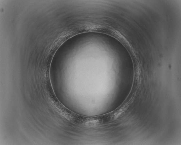 X0000056000257200509021711