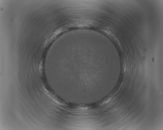 X0000056000260200509021711