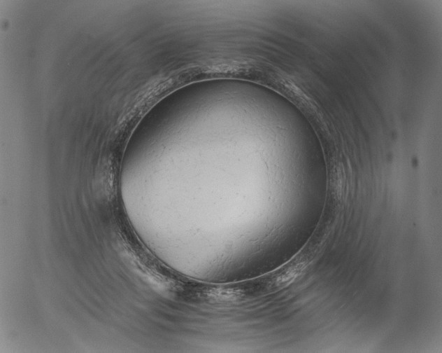 X0000056000261200509021711