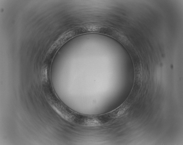 X0000056000262200509021711