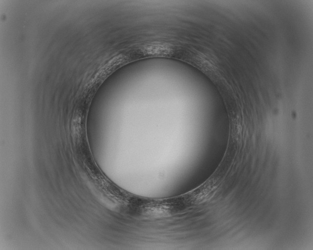 X0000056000263200509021711