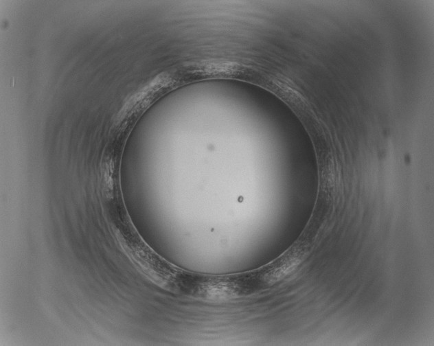 X0000056000264200509021711