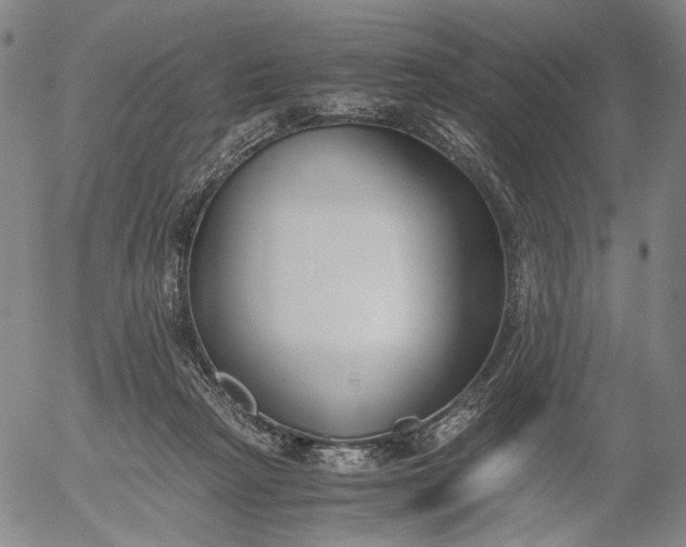 X0000056000265200509021711