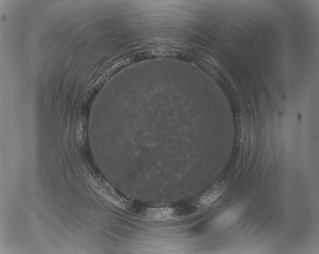 X0000056000266200509021712