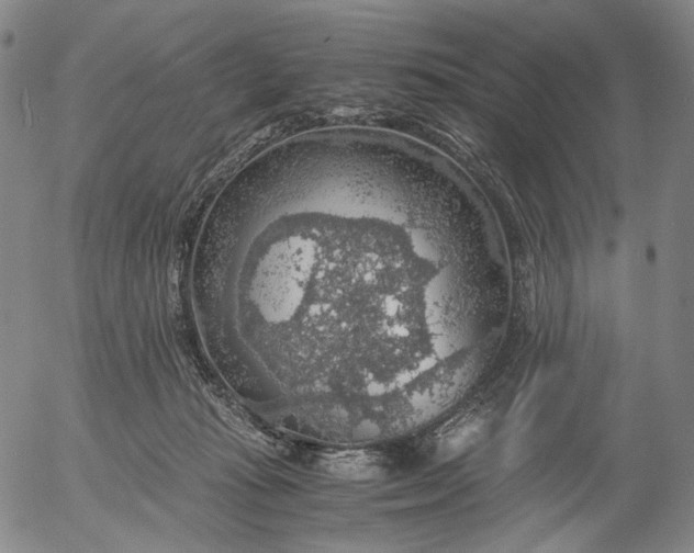 X0000056000269200509021712