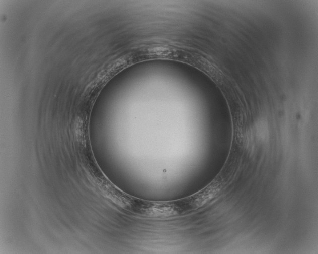 X0000056000270200509021712