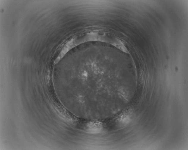 X0000056000271200509021712