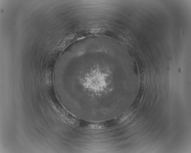 X0000056000272200509021712