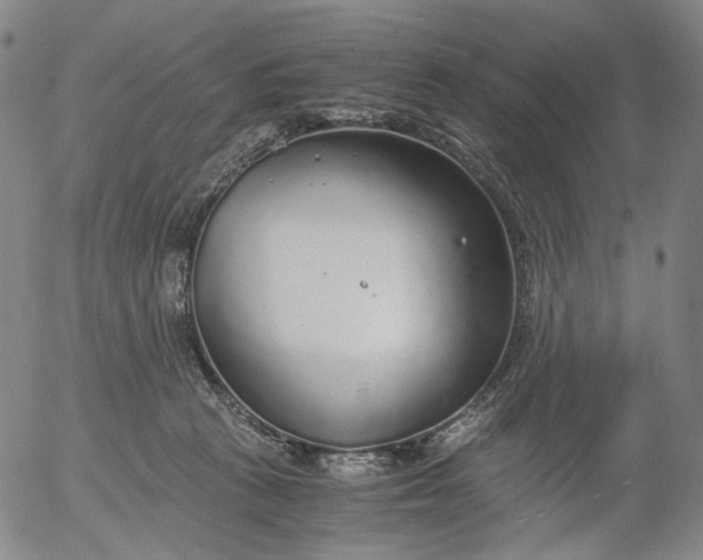 X0000056000273200509021712