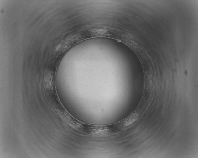 X0000056000274200509021712