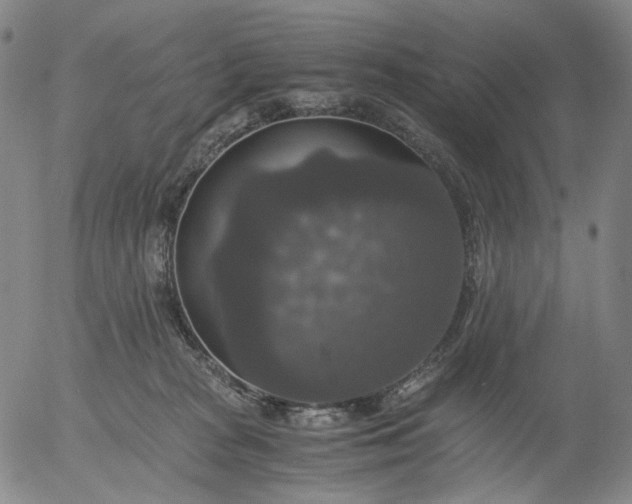 X0000056000277200509021712