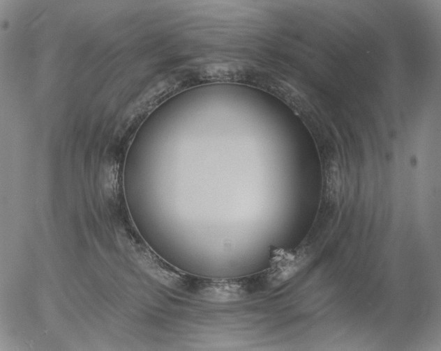 X0000056000278200509021712