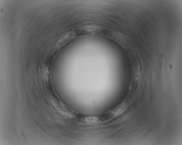 X0000056000279200509021712