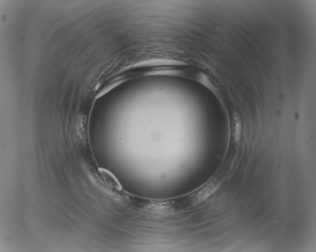 X0000056000280200509021712