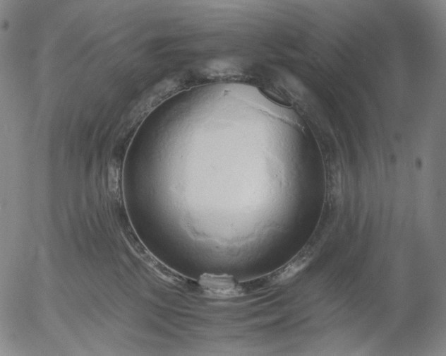 X0000056000281200509021712