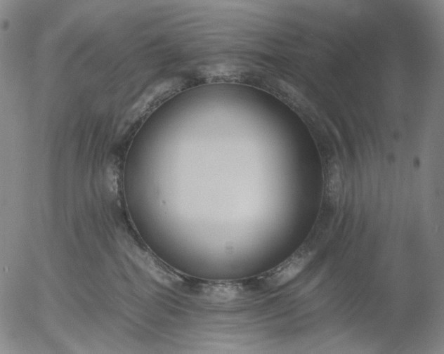 X0000056000282200509021712