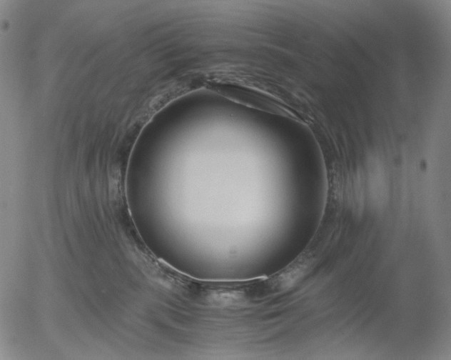 X0000056000283200509021712