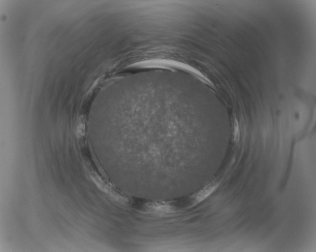 X0000056000284200509021712