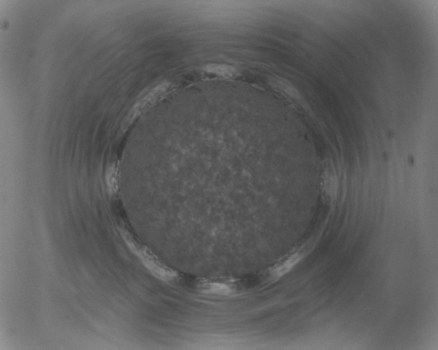 X0000056000285200509021712