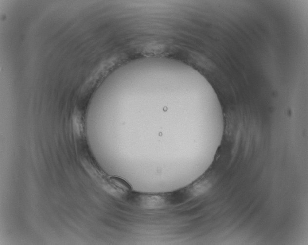 X0000056000287200509021712