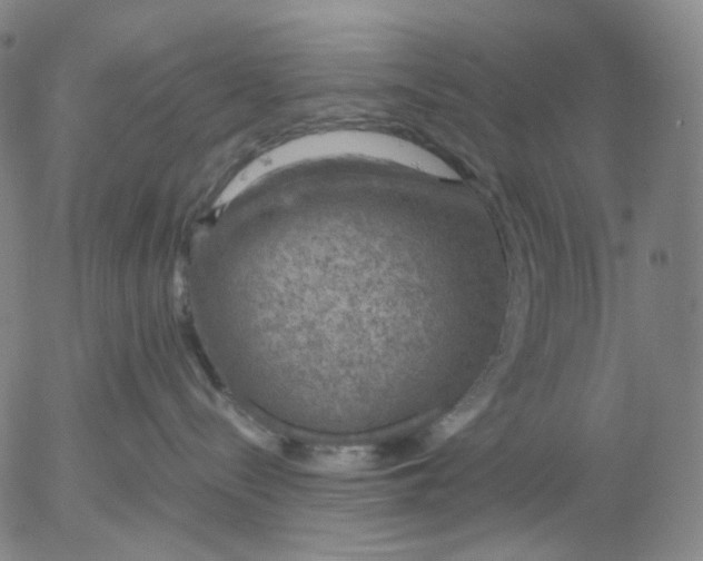 X0000056000288200509021712