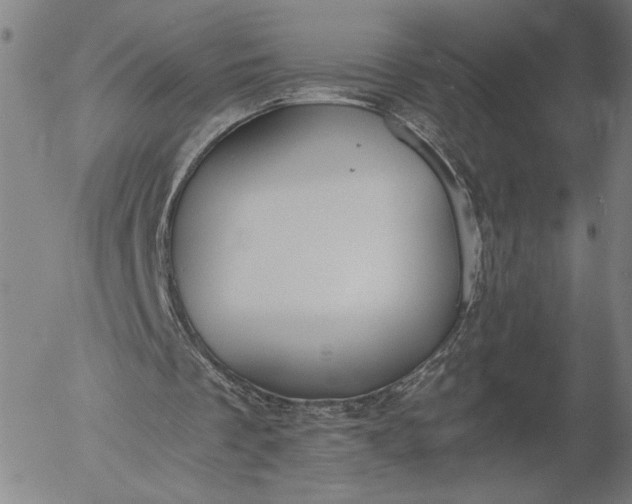 X0000056000289200509021711