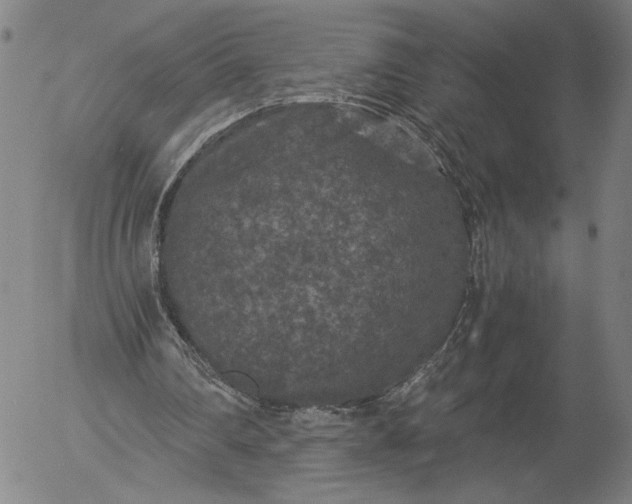 X0000056000290200509021711