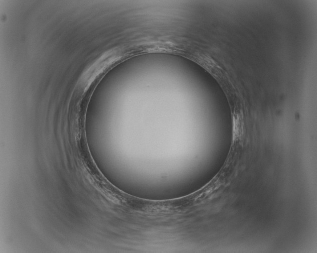 X0000056000291200509021711