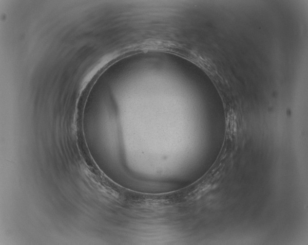 X0000056000292200509021711