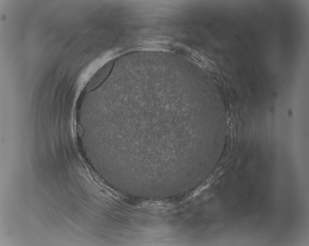 X0000056000294200509021711