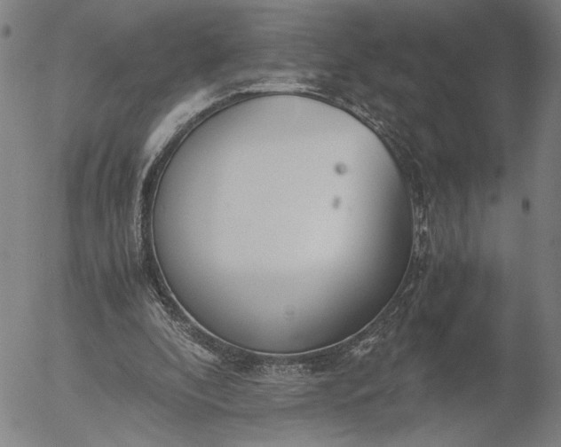 X0000056000296200509021711