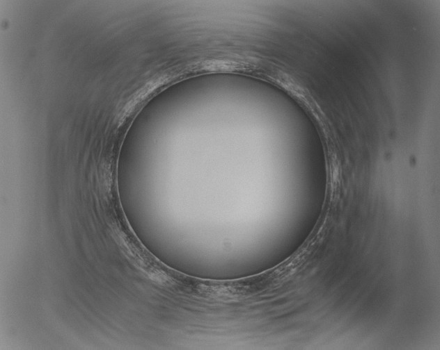 X0000056000297200509021711