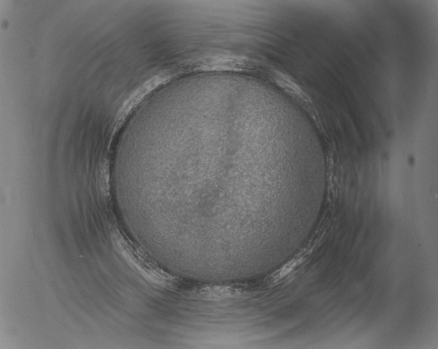 X0000056000298200509021711