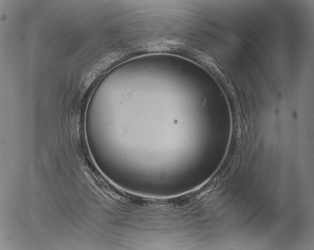 X0000056000299200509021711