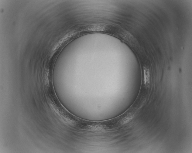 X0000056000300200509021711