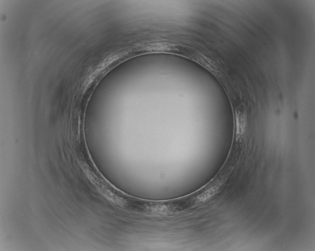 X0000056000301200509021711