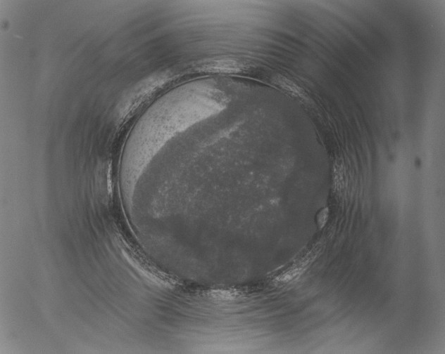 X0000056000302200509021711