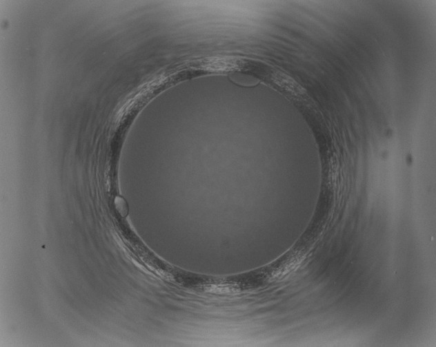 X0000056000303200509021711