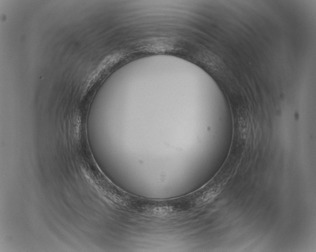 X0000056000304200509021711