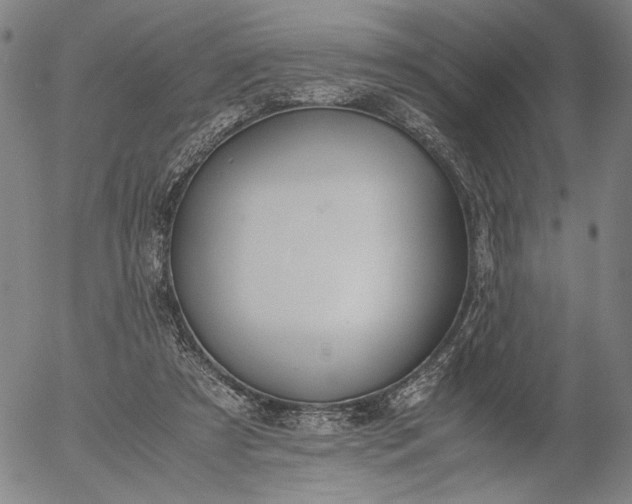 X0000056000305200509021711