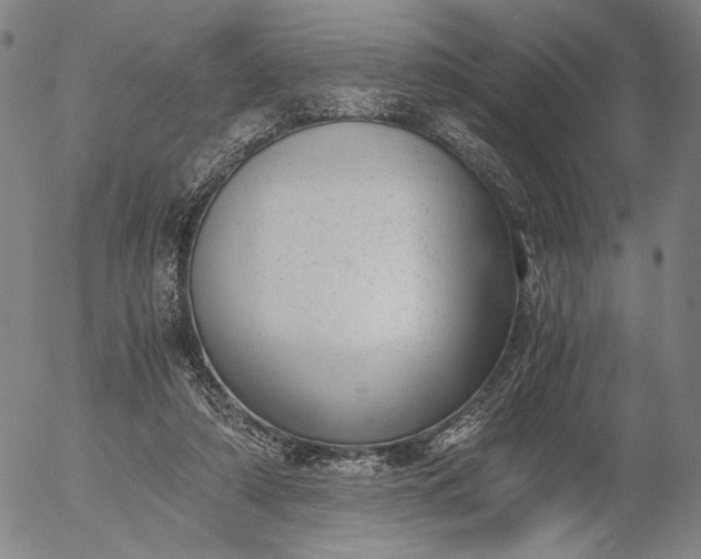 X0000056000306200509021711